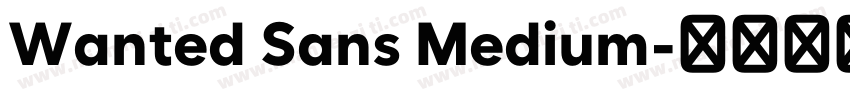 Wanted Sans Medium字体转换